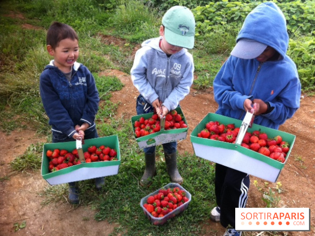 cueillettes des fraises autour de Paris