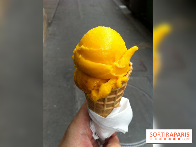 Bac à Glace, Sorbet Mangue
