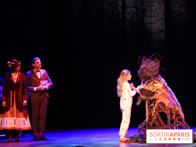 Emilie Jolie, la comédie musicale 2017/2018