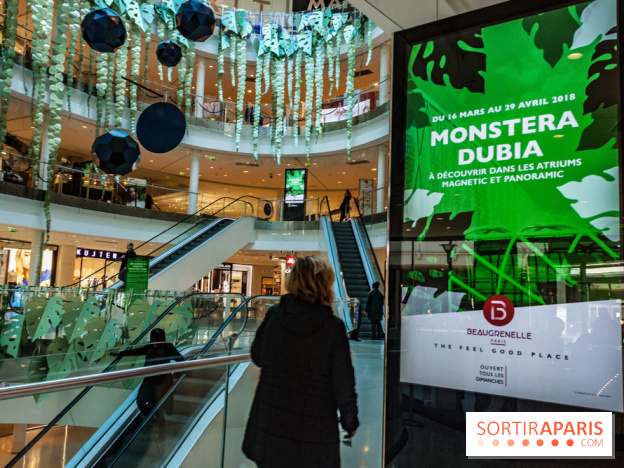 Exposition Monstera Dubia à Beaugrenelle