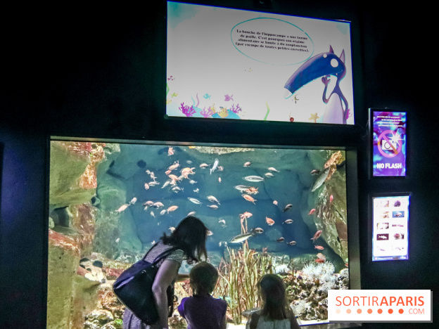 Loup préserve les océans à l'Aquarium de Paris, les photos