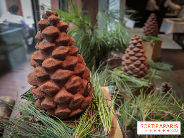 La Bûche de Noël du Prince de Galles 2018 by Nicolas Paciello