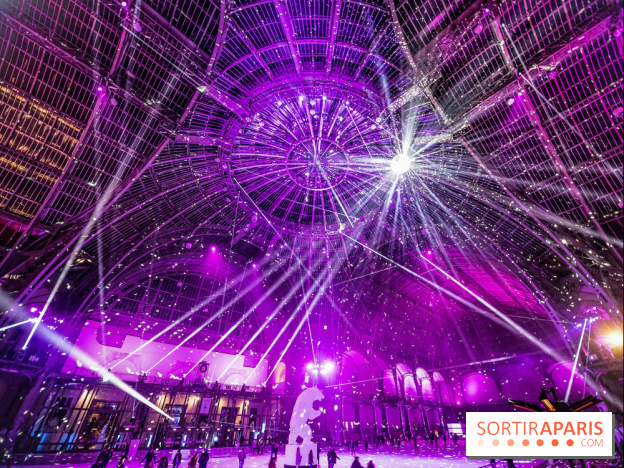 Le Grand Palais des Glaces