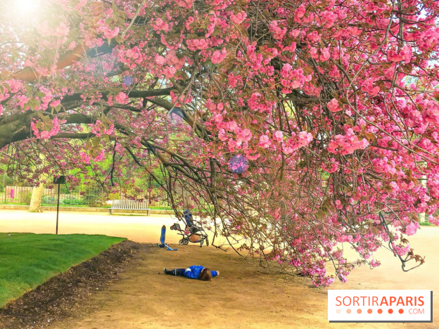 Le Jardin des Plantes