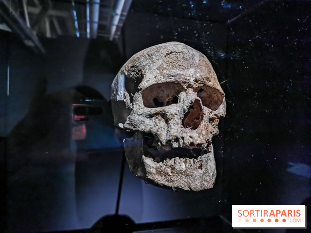 Exposition Préhistoire, un invention moderne au Centre Pompidou, les photos