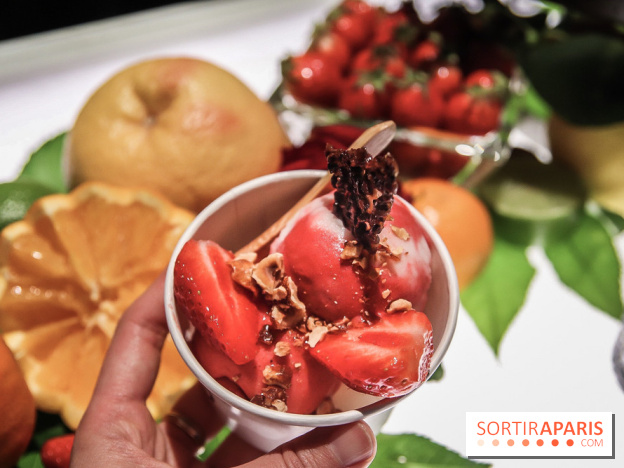 Les Glaces de Pierre Hermé 2019