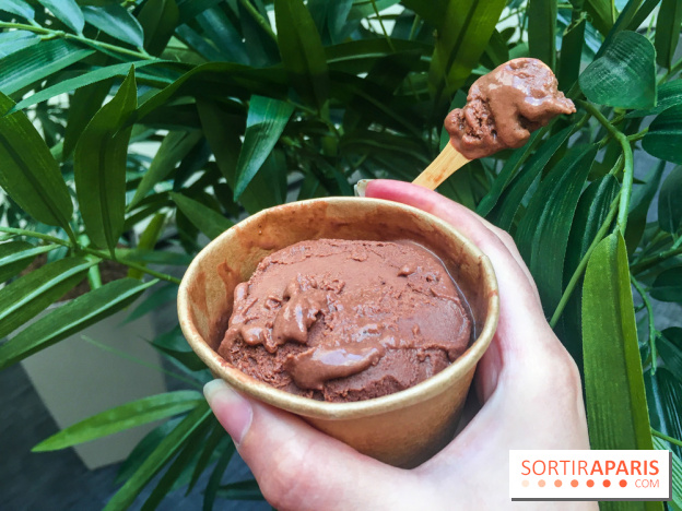 Les glaces au chocolat de Ducasse 