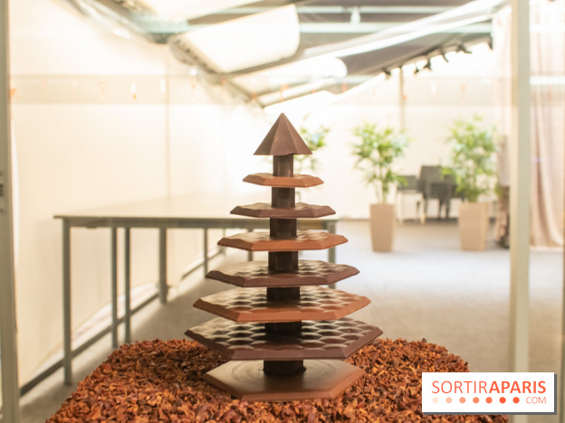 Chocolats de Noël 2019 de Ducasse