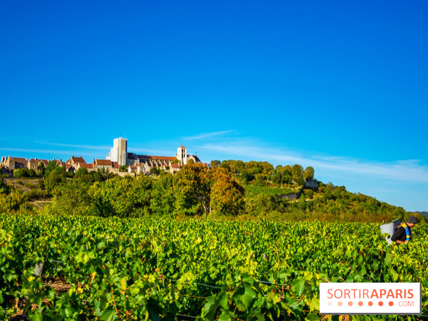 Le Château de Vault-de-Lugny - excursions dans la région