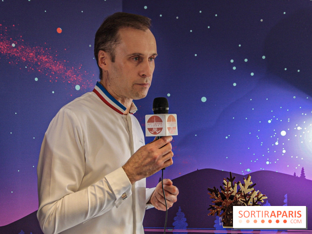 Les Bûches de Noël de la Maison du Chocolat, les photos