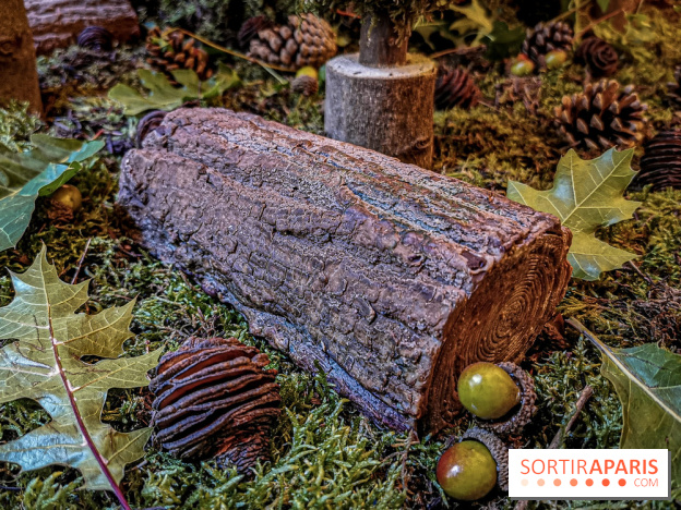 La Bûche de Noël 2019 et galette 2010 du Plaza Athénée - les photos