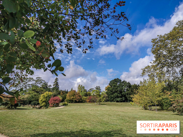 Le parcours des Arbres Admirables dans le domaine du château de Versailles