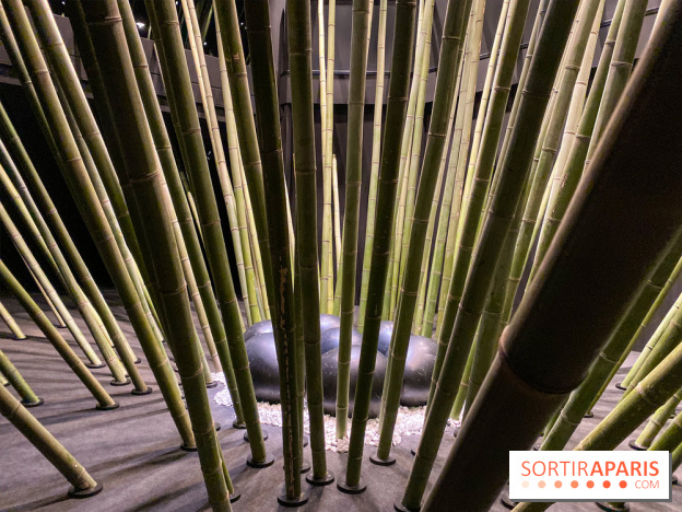 Black Bamboo de Nils-Udo à la Fondation EDF