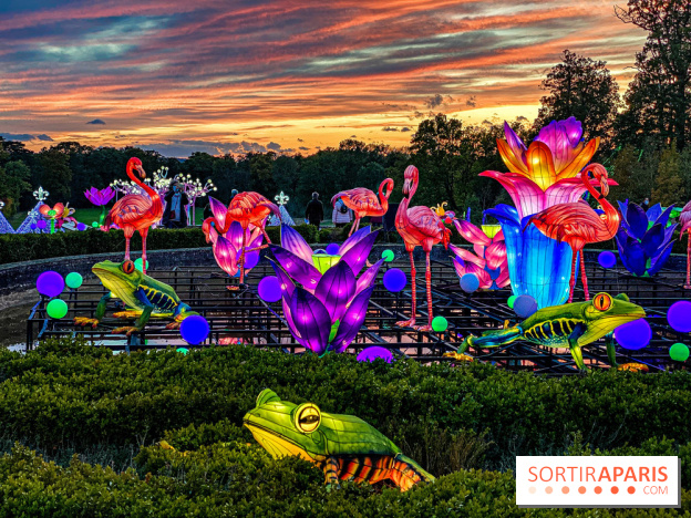 Photos : Thoiry Lumières Sauvages 2020-2021