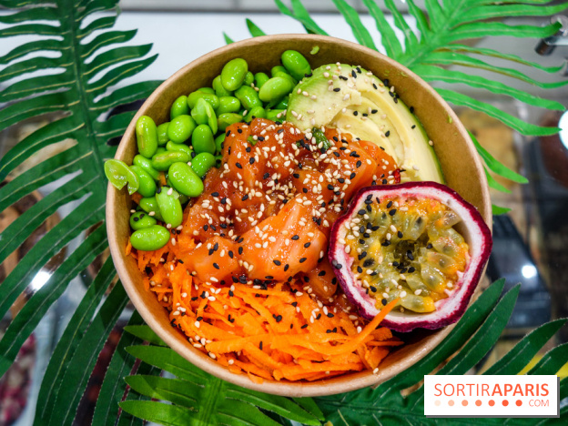 Pokelife, les photos