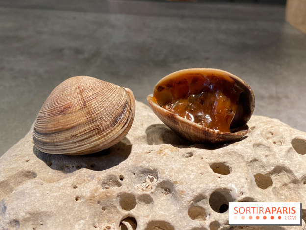 FIEF, le restaurant locavore du finaliste de Top Chef Victor Mercier