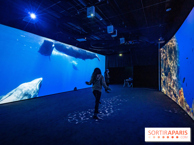 Photos : Odyssée sensorielle, l’expo immersive au Museum 