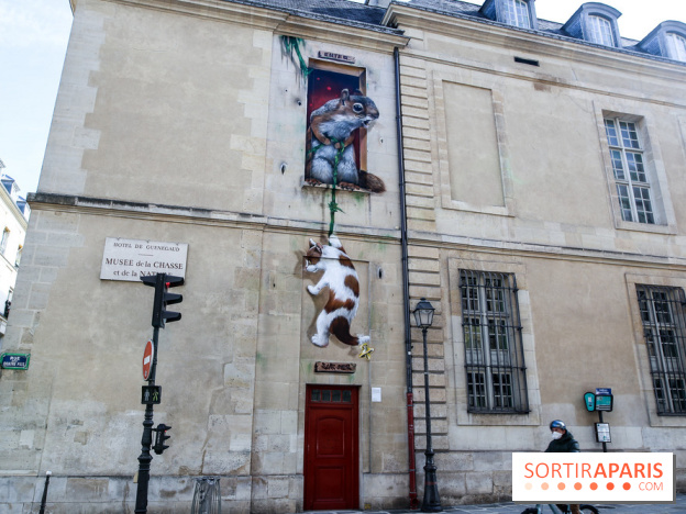 Incursions sauvages, nos photos