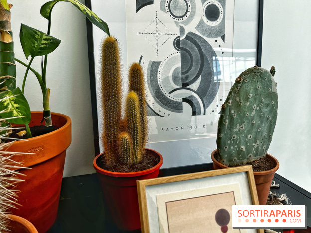 Rayon Noir, le salon de tatouage et de design moderne et accueillant du 12e arrondissement