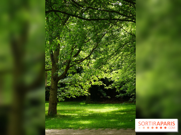 Arboretum de la Vallée-aux-Loups, une balade au milieu des arbres remarquables