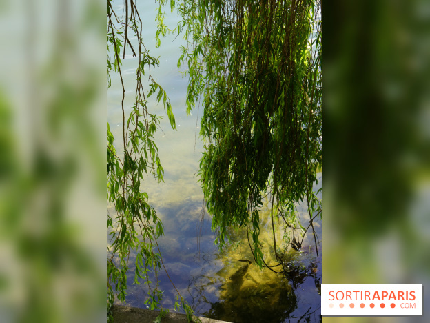 l'Île des Impressionnistes à Chatou