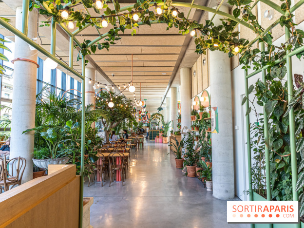 Titi Palacio, bar-restaurant festif à la Félicité 