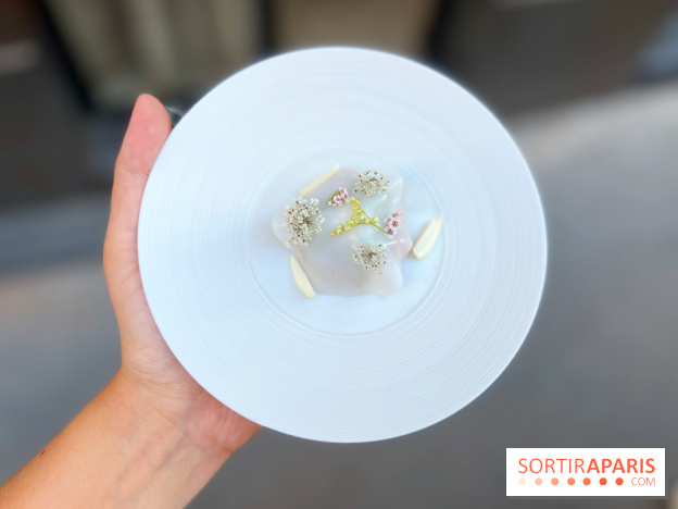 NESO Guillaume Sanchez x The Botanist