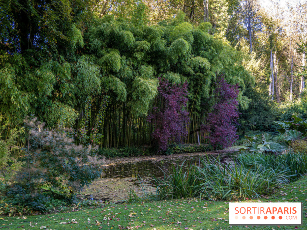 Le Jardin japonais du Château de Courances