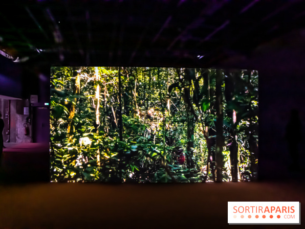 Exposition au Palais de Tokyo : Shéhérazade, la nuit - nos photos