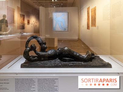 Picasso et la Préhistoire, les photos de l'exposition au Musée de l'Homme