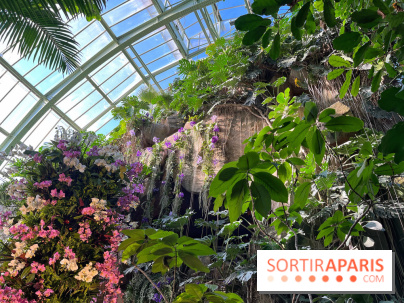 Orchidées - jardin des plantes