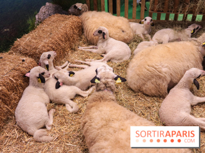 Salon de l'agriculture 2023 - (1)