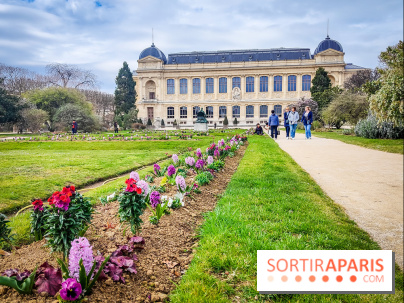 Félins, l'exposition qui nous fait craquer au Muséum national d'Histoire naturelle - photos - IMG20230321111256