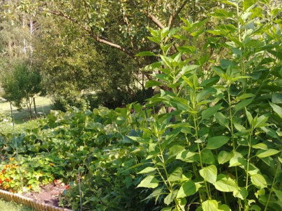 Le centre relaxant H2E et Gîte des Prés de Garnes - 20180718 174343