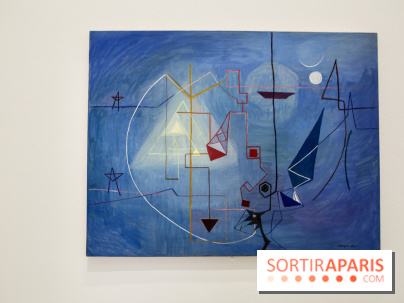 Anna-Eva Bergman, nos photos de l'expo à Paris