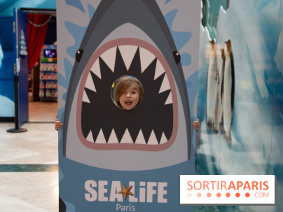 Aquarium Sea Life - IMG 8409