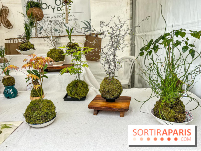 Esprit Jardin à Versailles - Marché aux plantes et animations