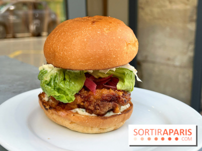 Nakatsu - Burger karaage