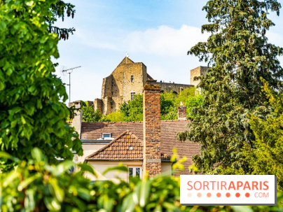 Le Château de la Madeleine à Chevreuse  -  A7C3890