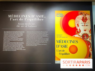 Médecines d'Asie, l'art de l'équilibre : l'exposition bien-être étonnante du musée Guimet - photos