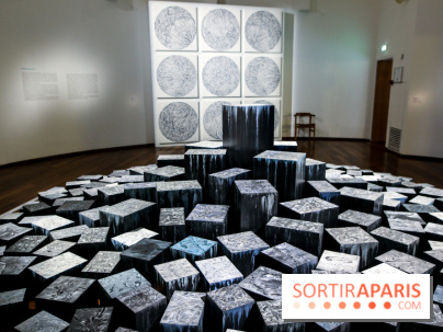Carte blanche à Park Dong Soo au musée Guimet, nos photos