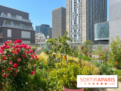 Jardins partagés (toit Beaugrenelle) - image00002