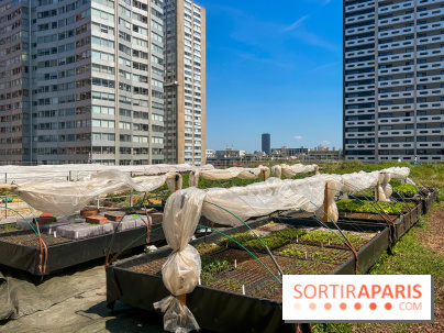 Les toits de Beaugrenelle - image00006