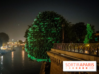 Nuit Blanche 2023 : des projections lumineuses magiques au Square du Vert Galant de l'Île de la Cité - IMG20230603001042