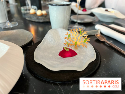 L'Ours - Amuse-bouche