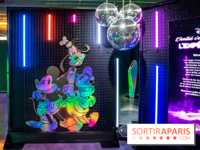 Disney 100 L'Amitié c'est Merveilleux