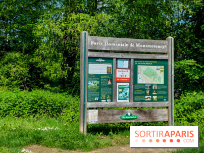 Balade nature dans la forêt de Montmorency, nos photos