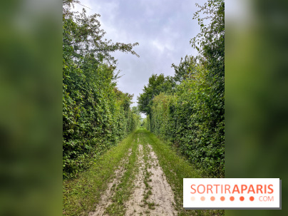 Le parc de la Haute-Île à Neuilly-sur-Marne - image00001