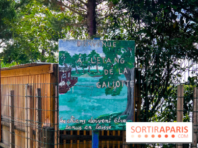 L'étang de la Galiotte dans le parc du Peuple de l'Herbe - Carrières-sous-Poissy (Yvelines) - image00005