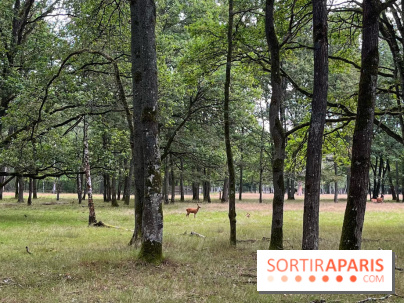 Espace Rambouillet